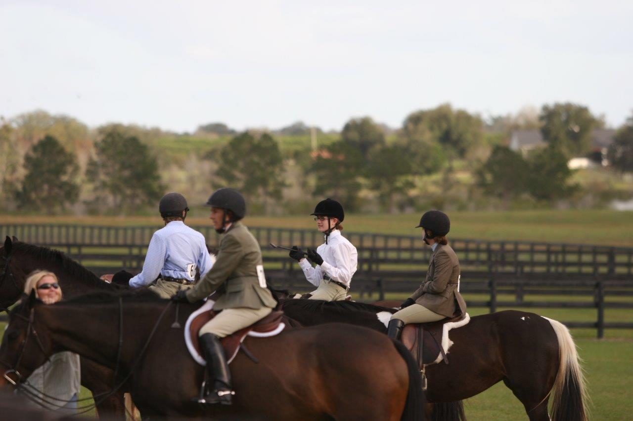 Horse Jumping in Pine Ridge